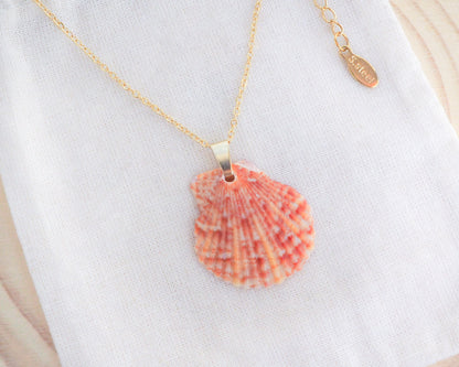 Sunrise Scallop Shell Necklace, Orange Scallop Shell from Portugal on display