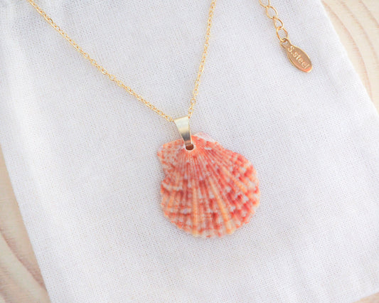 Sunrise Scallop Shell Necklace, Orange Scallop Shell from Portugal on display
