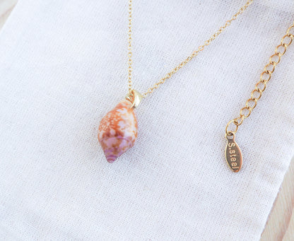 Tiny Dove Shell Gold Necklace on display, Tiny shell from Portugal 