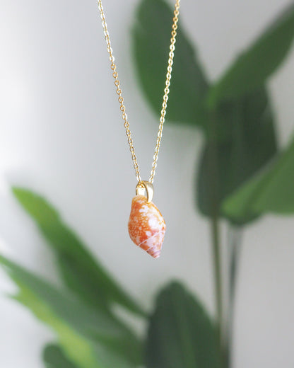 SEASHELL NECKLACE ~ Gold Tiny Rustic Dove Shell