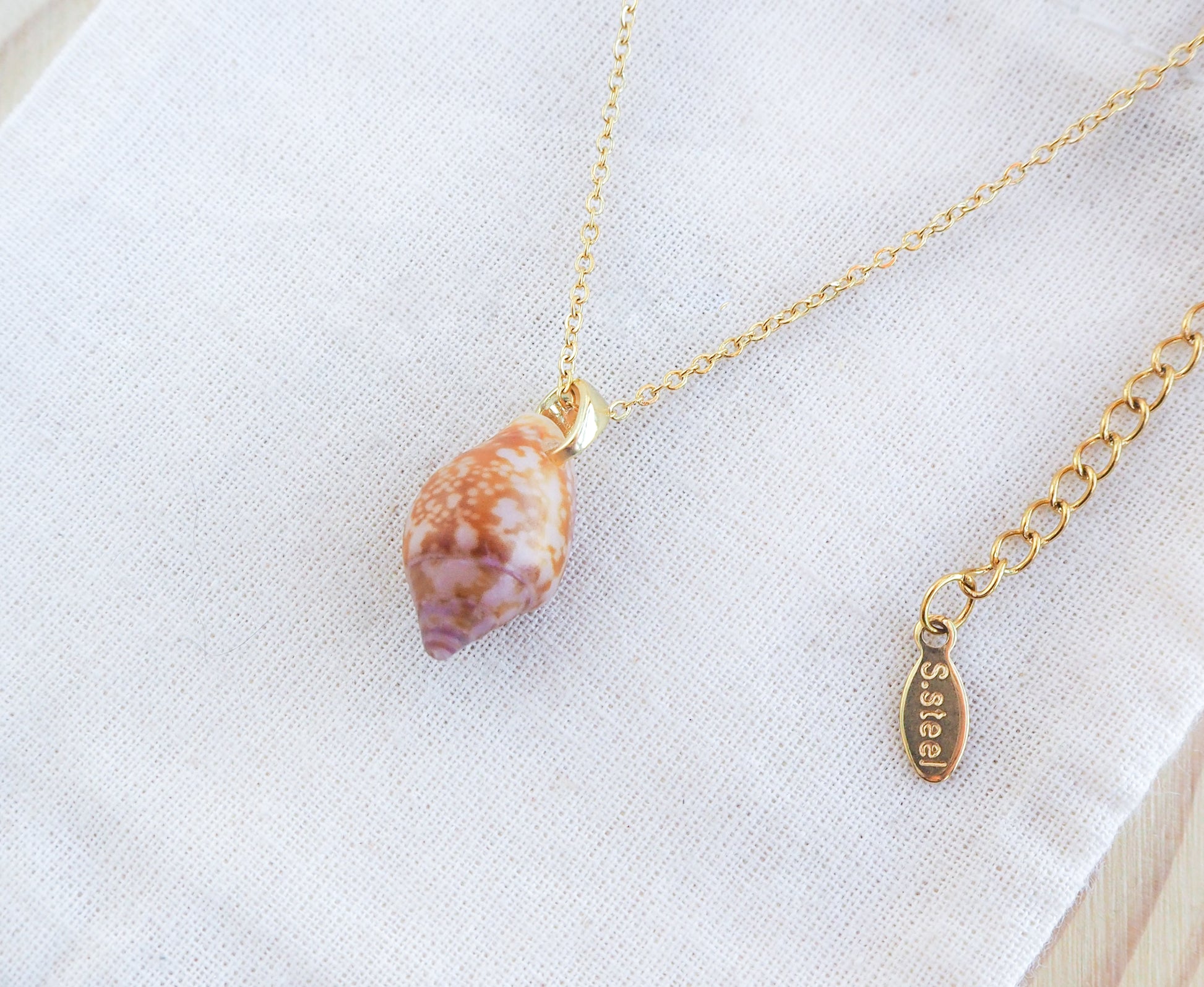 Tiny Dove Shell Gold Necklace on display, Tiny shell from Portugal 