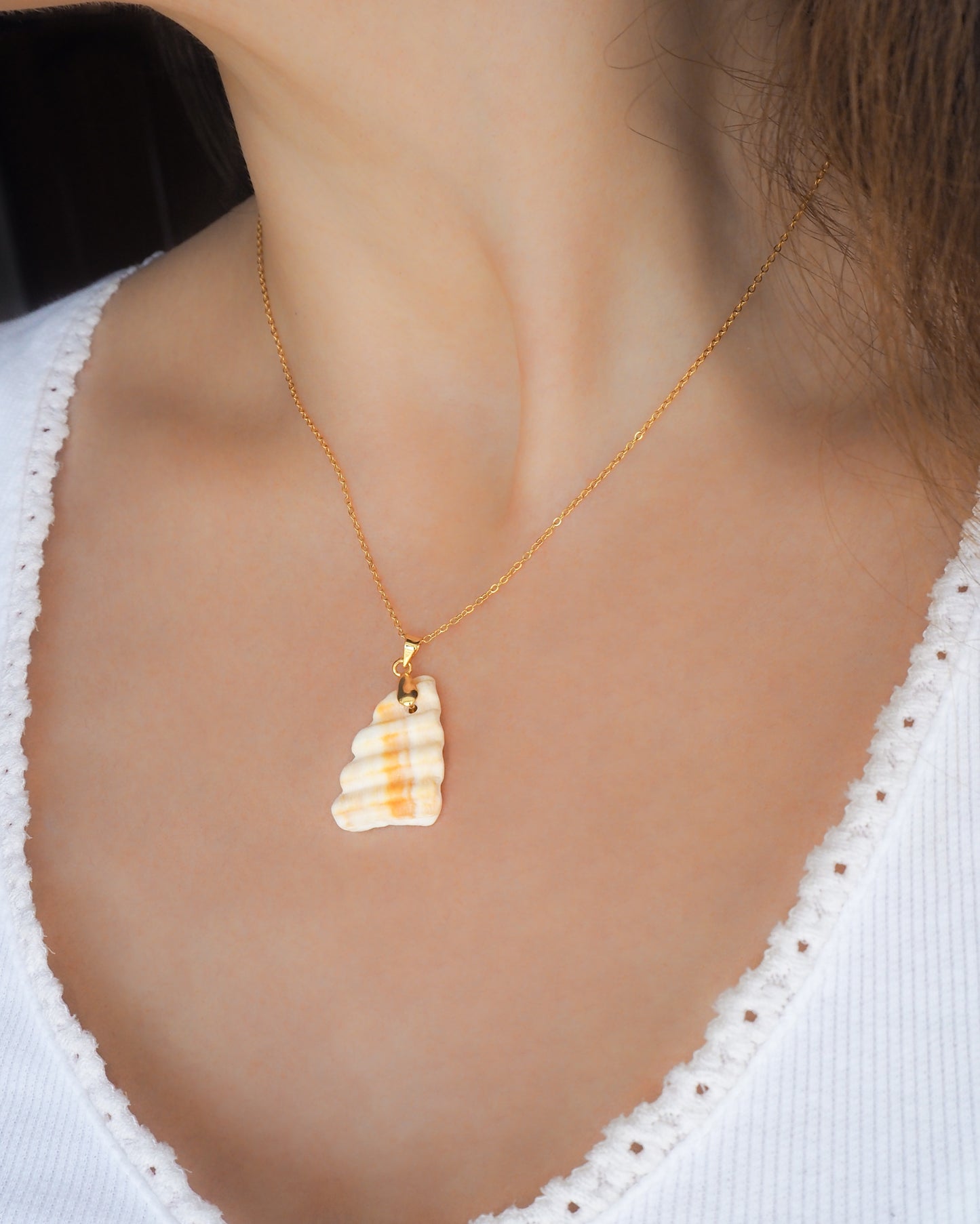 SEASHELL NECKLACE ~ Gold Mediterranean Cockle Shell Piece