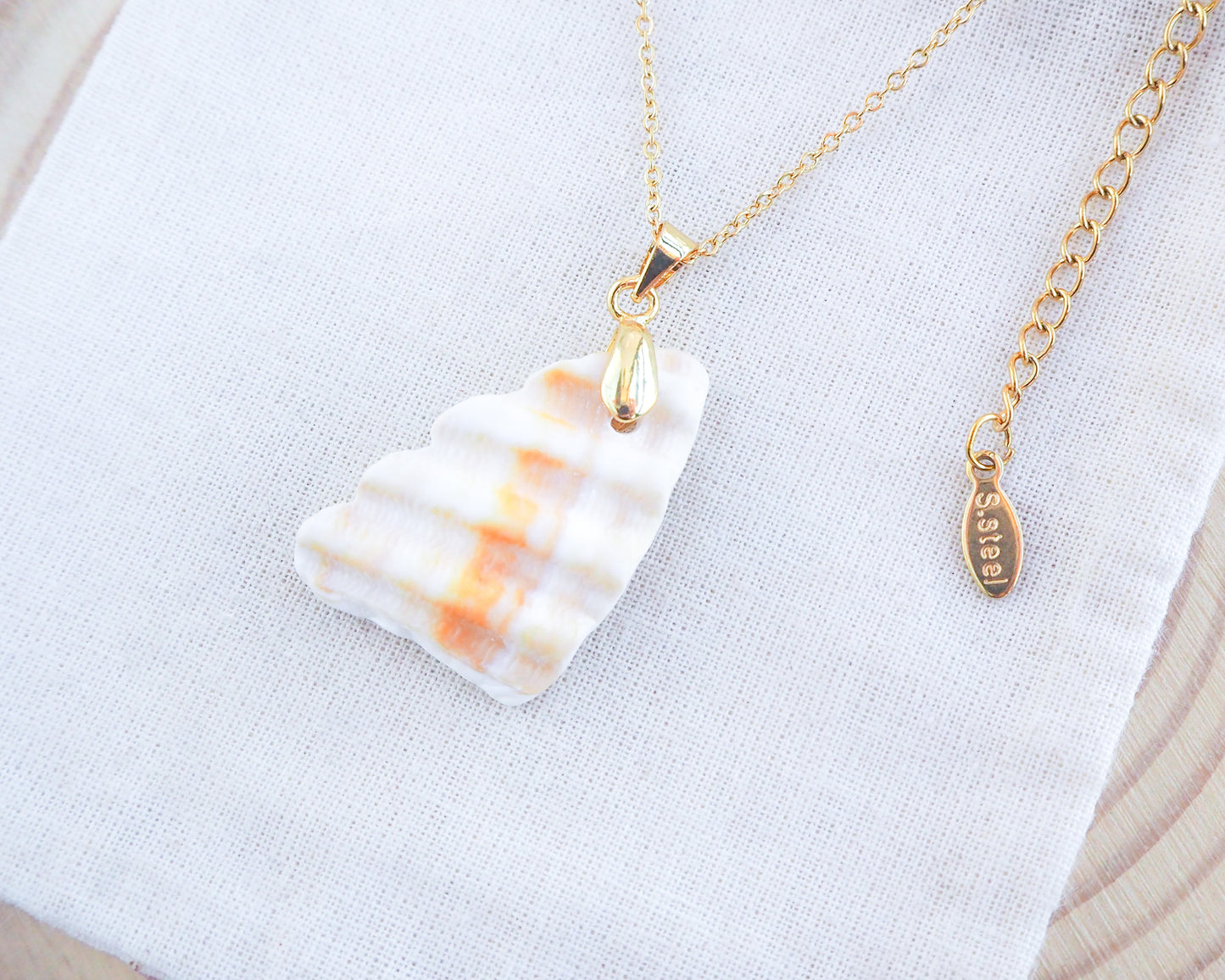 SEASHELL NECKLACE ~ Gold Mediterranean Cockle Shell Piece