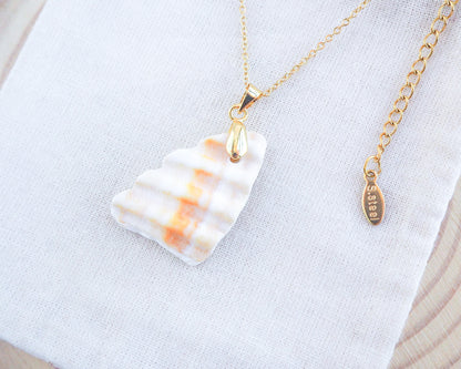 SEASHELL NECKLACE ~ Gold Mediterranean Cockle Shell Piece