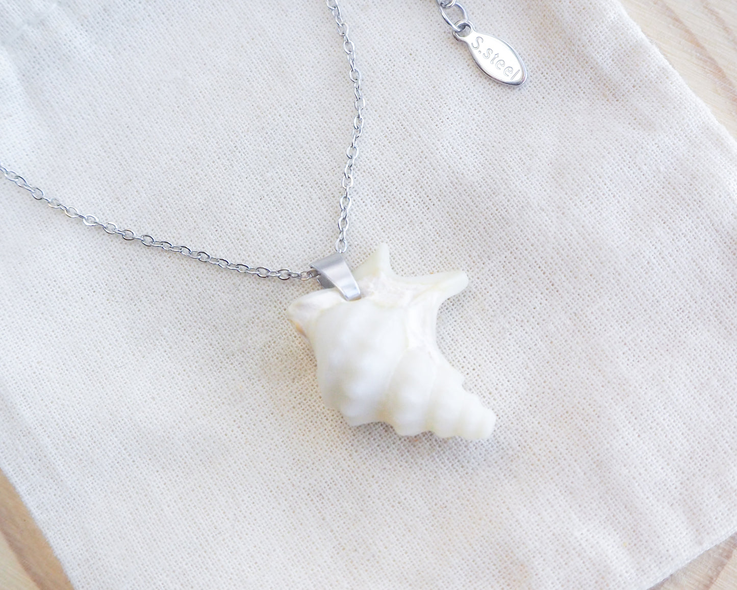Pelican Foot Shell Silver Necklace, Real White Shell from Algarve, Portugal, Stainless Steel chain