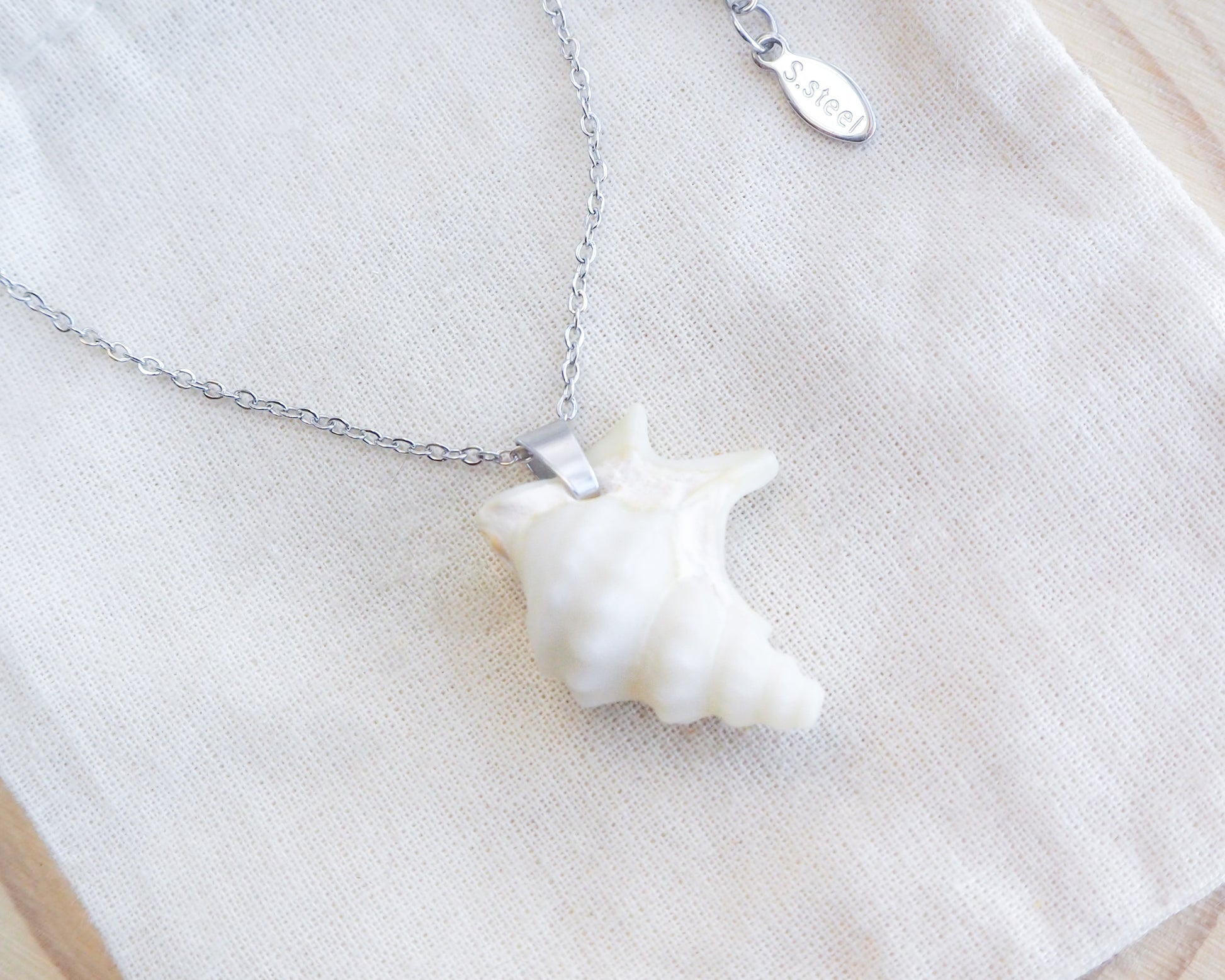 Pelican Foot Shell Silver Necklace, Real White Shell from Algarve, Portugal, Stainless Steel chain