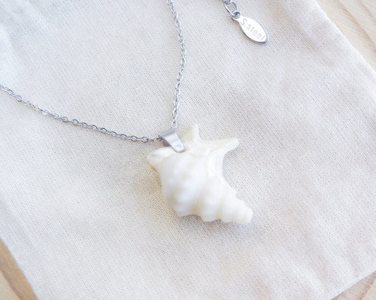 Pelican Foot Shell Silver Necklace, Real White Shell from Algarve, Portugal, Stainless Steel chain