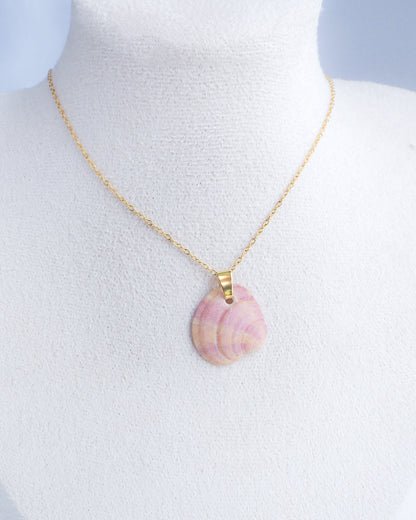 SEASHELL NECKLACE ~ Gold Pink Orange Venus Shell