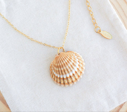 SEASHELL NECKLACE ~ Mediterranean Cockle Shell III