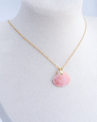 SEASHELL NECKLACE ~ Tiny Pink Venus Shell II