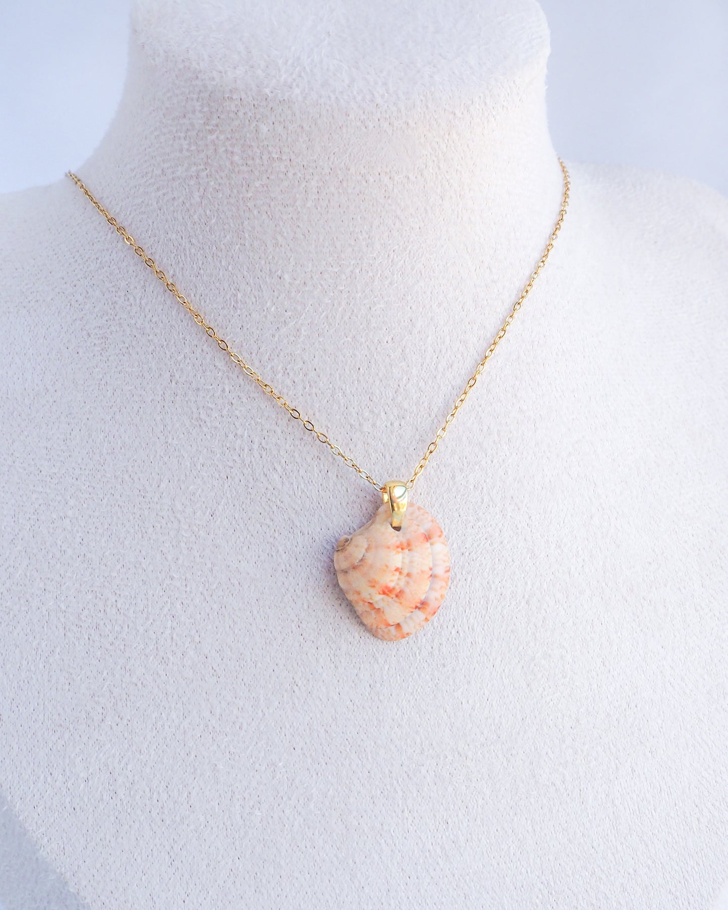 SEASHELL NECKLACE ~ Orange Coral Venus Shell