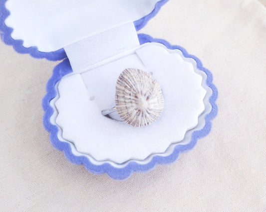 SEASHELL RING ~ Striped Limpet Shell Silver II
