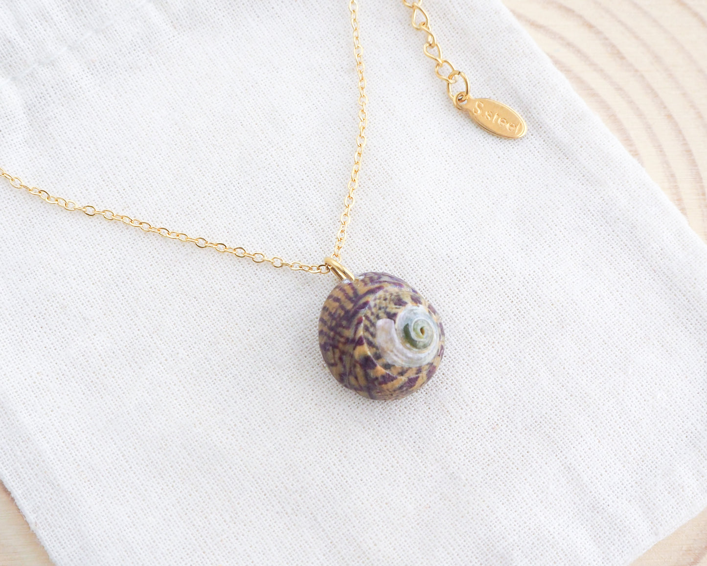 Gold Bordeaux Yellow Striped Top Shell on display