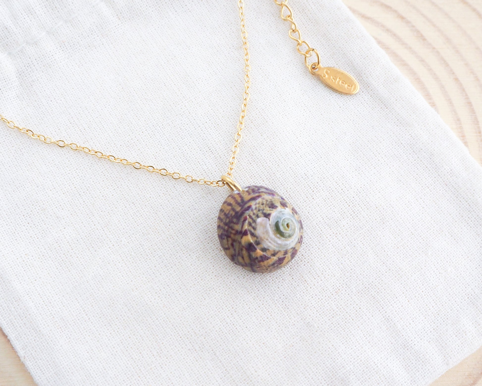 Gold Bordeaux Yellow Striped Top Shell on display