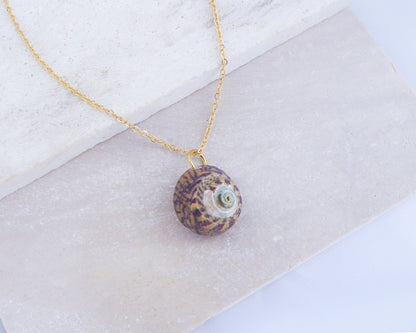 SEASHELL NECKLACE ~ Bordeaux Yellow Striped Top Shell