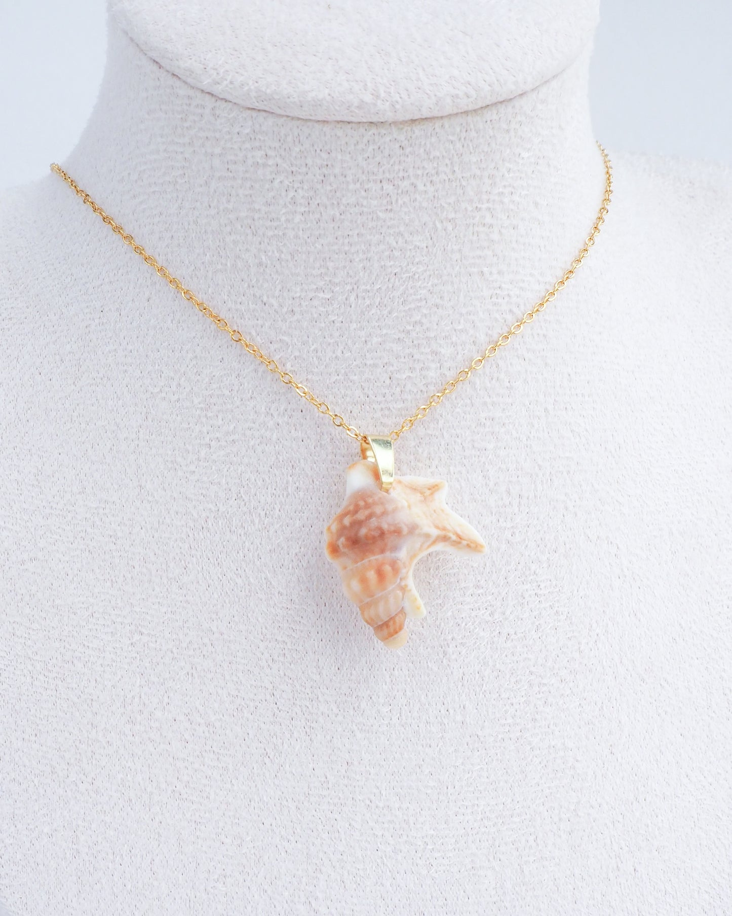 SEASHELL NECKLACE ~ Brown Pelican's Foot Shell