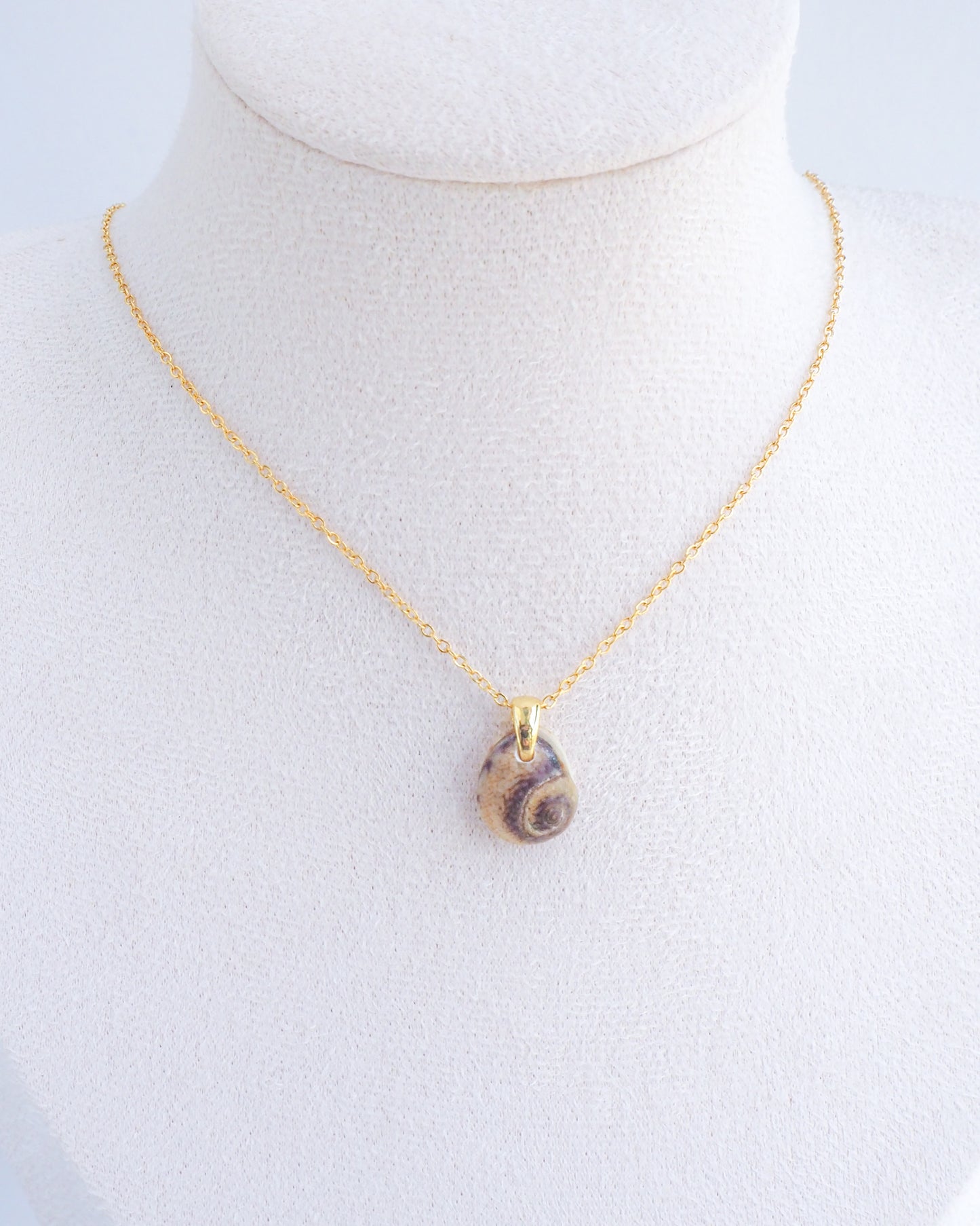 SEASHELL NECKLACE ~ Tritia Neritea Shell II