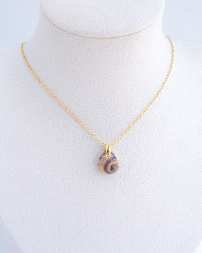 SEASHELL NECKLACE ~ Tritia Neritea Shell II