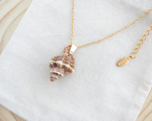 Brown Sting Winkle Gold Necklace on display. A gold chain necklace with a seashell pendant. The seashell is a light brown colour with darker brown stripes.