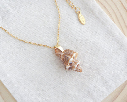 Brown Sting Winkle Gold Necklace on display. A gold chain necklace with a seashell pendant. The seashell is a light brown colour with darker brown stripes.