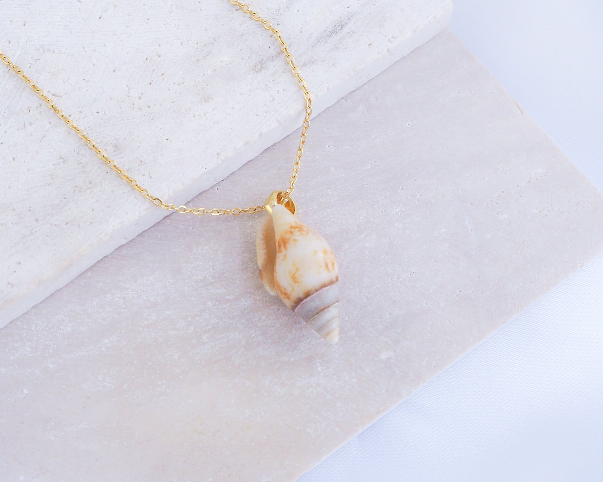 Light Rustic Dove Shell Gold Necklace on display, Tiny shell from Portugal 