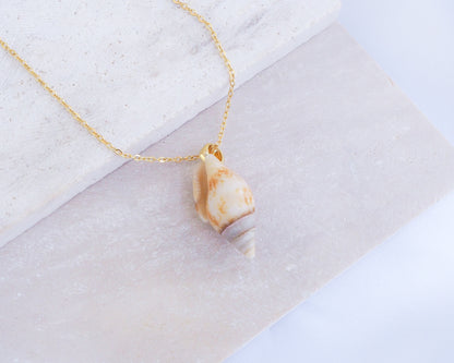 Light Rustic Dove Shell Gold Necklace on display, Tiny shell from Portugal 