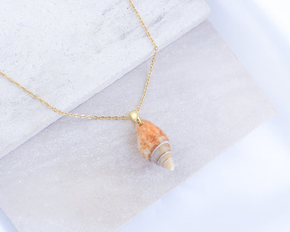 Close up of Light Rustic Dove Shell Gold Necklace on display, Tiny shell from Portugal 