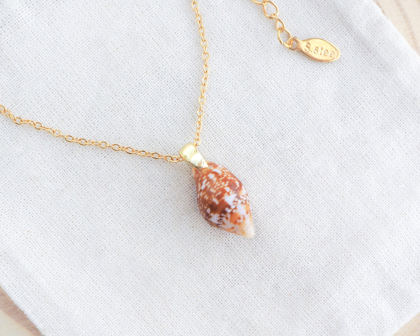 Gold necklace with a shell pendant on a white background. Tiny Rustic Dove Shell Gold Necklace, Tiny shell from Portugal on display