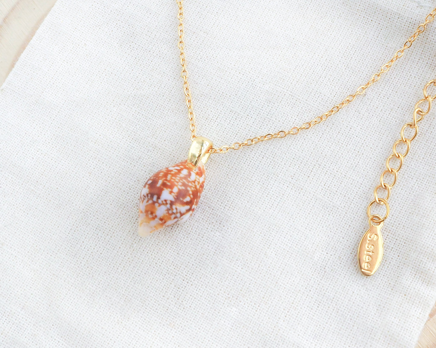 Gold necklace with a shell pendant on a white background. Side view of Tiny Rustic Dove Shell Gold Necklace, Tiny shell from Portugal on display
