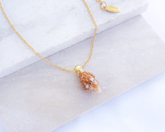 Gold necklace with a shell pendant on a light background. Tiny Rustic Dove Shell Gold Necklace, Tiny shell from Portugal on display