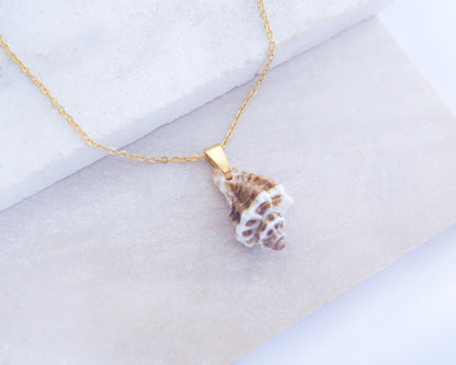 Shell pendant necklace on a light fabric background. Brown White Sting Winkle Gold Necklace on display. A 18k gold stainless steel chain necklace with a real sting winkle seashell pendant. The pendant is a natural seashell with brown and white coloration. the shell is found on the beach of portugal. The necklace is displayed on a cotton surface.