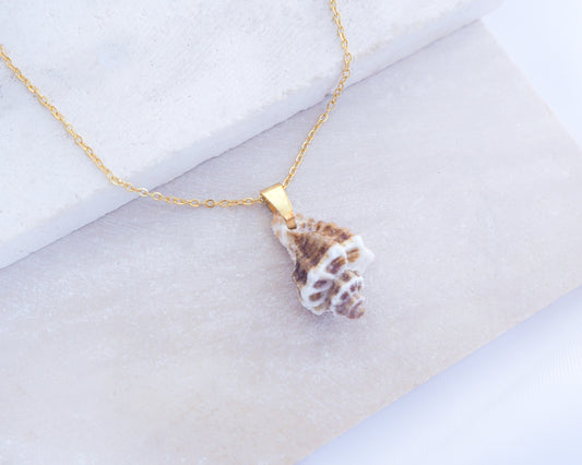 Shell pendant necklace on a light fabric background. Brown White Sting Winkle Gold Necklace on display. A 18k gold stainless steel chain necklace with a real sting winkle seashell pendant. The pendant is a natural seashell with brown and white coloration. the shell is found on the beach of portugal. The necklace is displayed on a cotton surface.