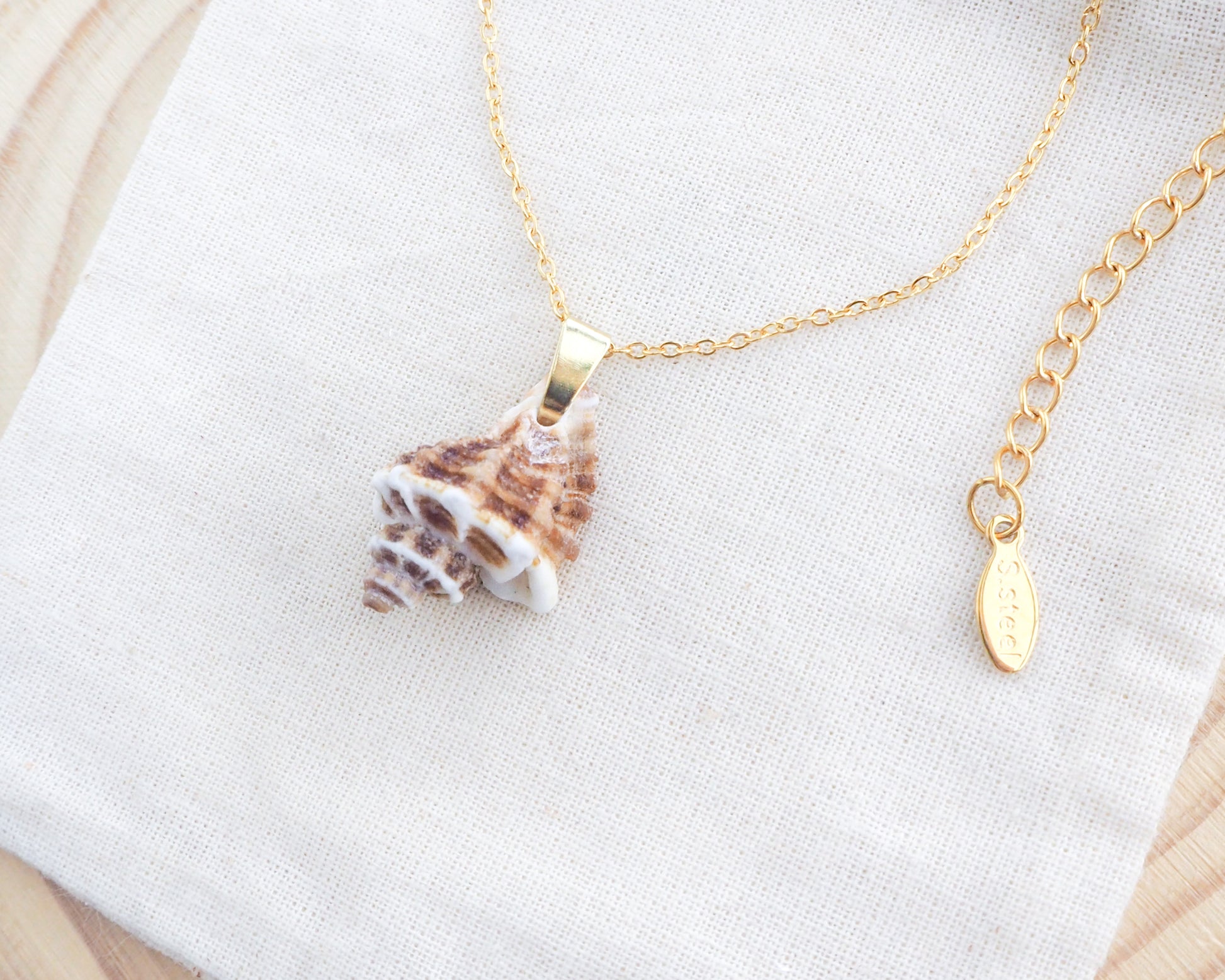 Gold necklace with a shell pendant on a white fabric background. Brown White Sting Winkle Gold Necklace on display. A 18k gold stainless steel chain necklace with a real sting winkle seashell pendant. The pendant is a natural seashell with brown and white coloration. the shell is found on the beach of portugal. The necklace is displayed on a cotton surface.