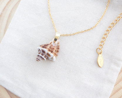 Gold necklace with a shell pendant on a white fabric background. Brown White Sting Winkle Gold Necklace on display. A 18k gold stainless steel chain necklace with a real sting winkle seashell pendant. The pendant is a natural seashell with brown and white coloration. the shell is found on the beach of portugal. The necklace is displayed on a cotton surface.