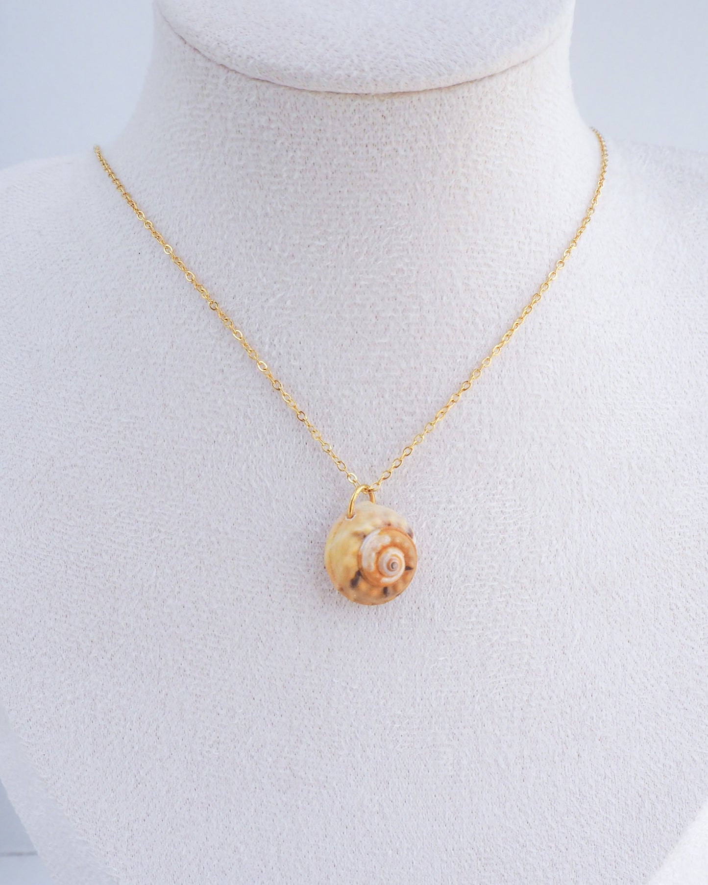 SEASHELL NECKLACE ~ Gold Magus Top Shell