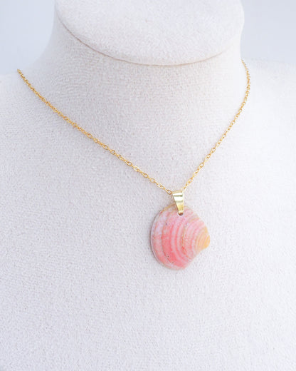 SEASHELL NECKLACE ~ Coral Venus Shell