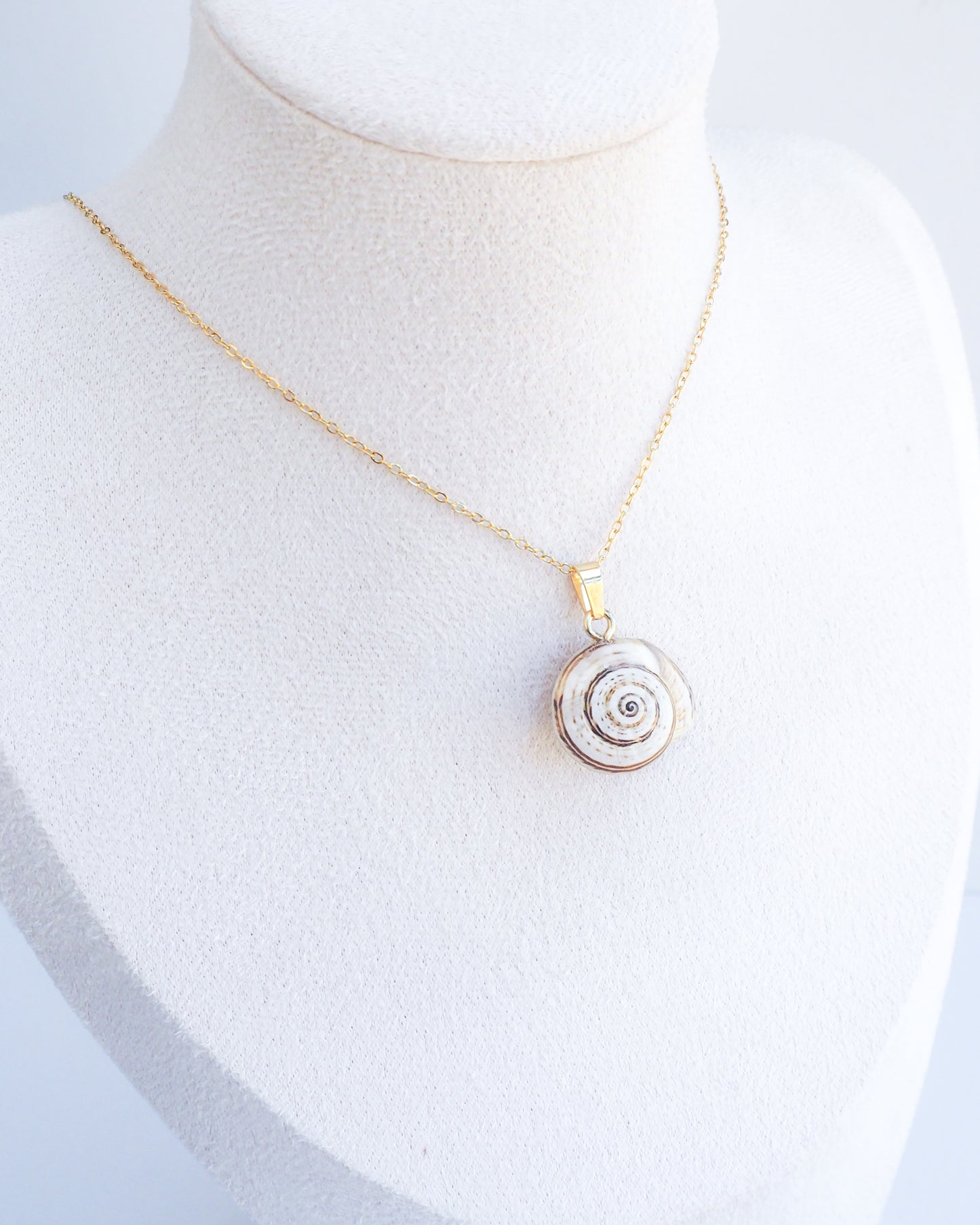 SEASHELL NECKLACE ~ Mediterranean Coastal Snail Shell II