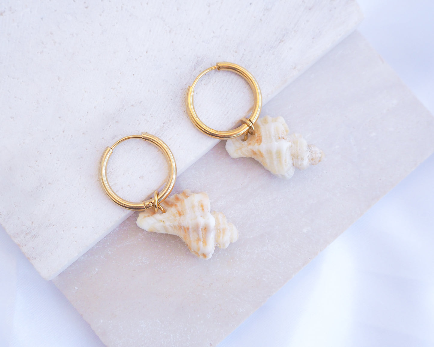 Gold Sting Winkle Shell Hoop 16mm Earrings from Portugal on stone displayed