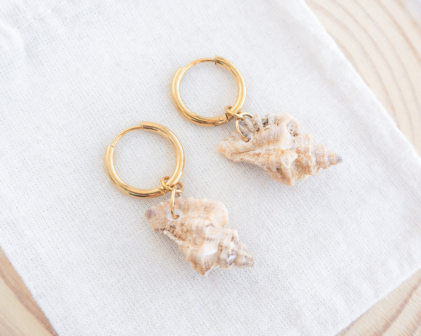 SEASHELL EARRINGS ~ Gold Sting Winkle Shell