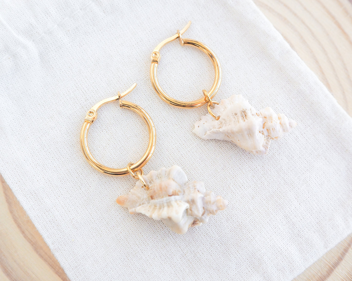 SEASHELL EARRINGS ~ Gold Sting Winkle Shell