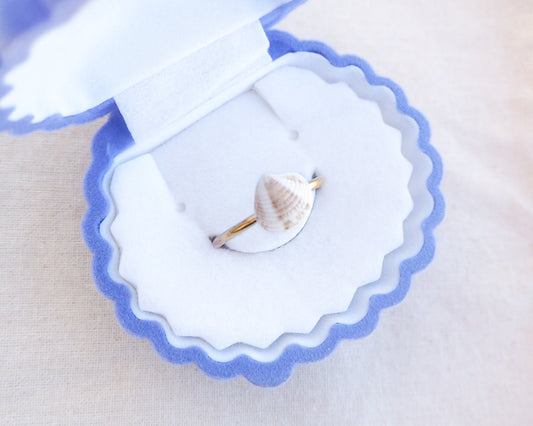 SEASHELL RING ~ Mini Brown Venus Shell II