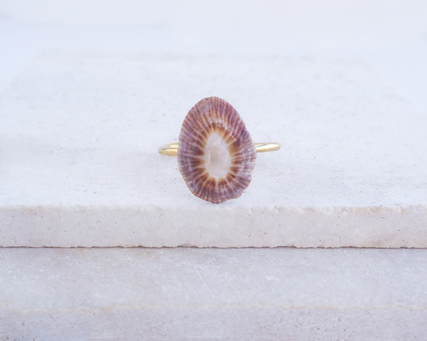 SEASHELL RING ~ Dark Limpet Shell Gold