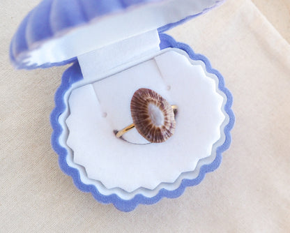 Ring with a dark limpet shell in blue white seashell box. Adjustable 18k gold stainless steel ring with handpicked limpet shell from Portugal
