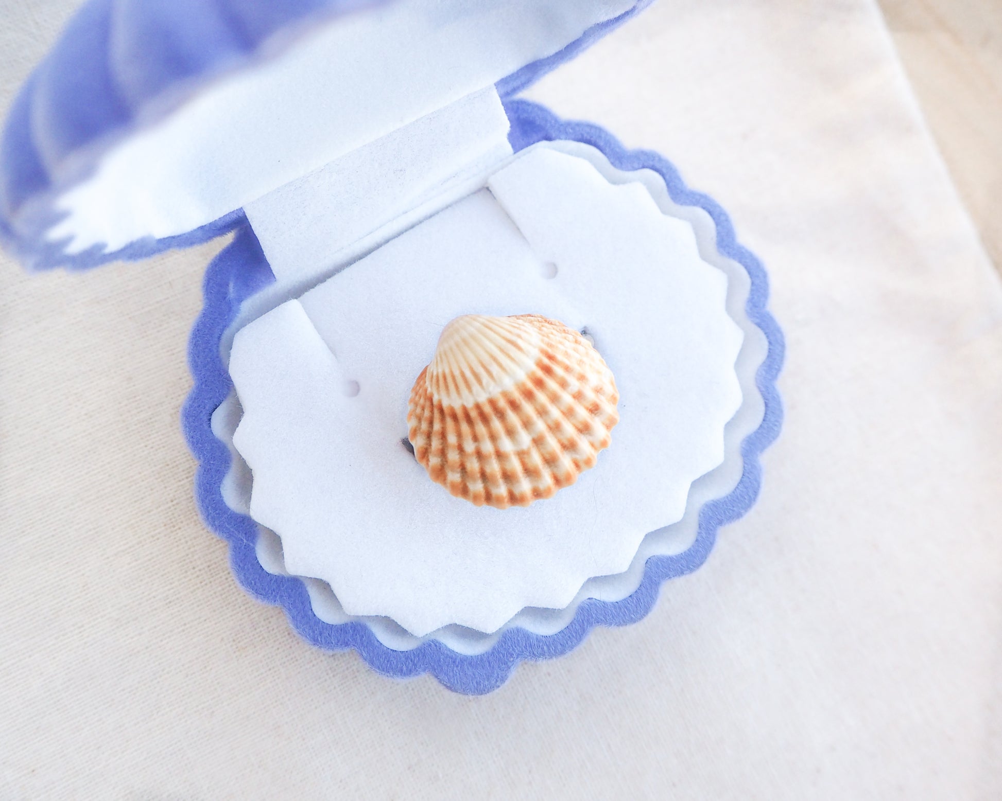 A small, orange and white seashell sits within a blue and white felt clam shell-shaped box. The box has a scalloped edge and a white interior. The background is a light beige fabric.