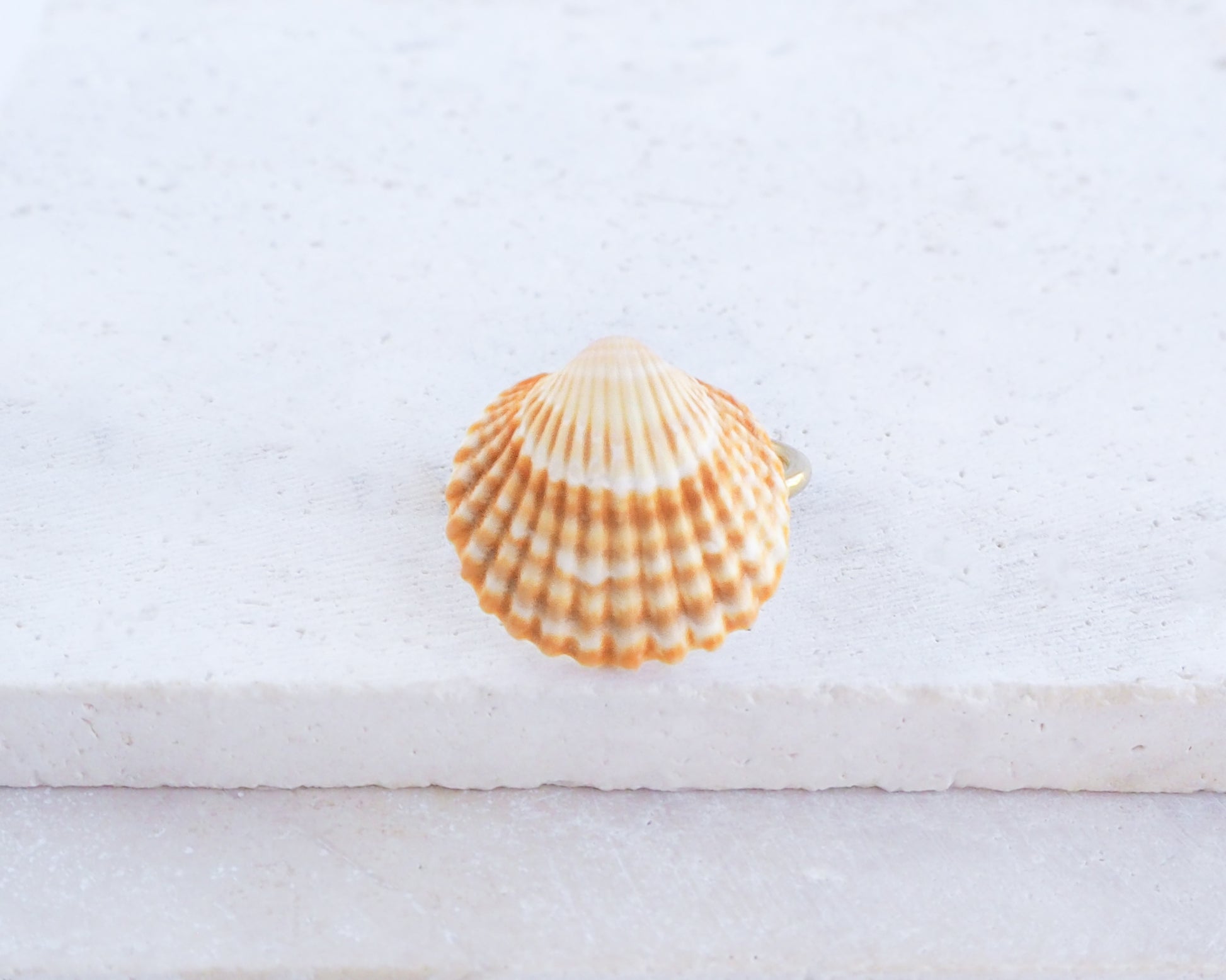 A small seashell ring with handpicked mediterranean cockle shell from portugal and 18k gold stainless steel ring, featuring a pattern of orange and white ridges. The shell is positioned on a white surface, highlighting its natural colours and detailed texture. The shell's form is symmetrical, with a rounded top and a slightly open base.