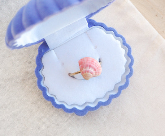 Ring in a shell-shaped box with Pink White Venus Shell Ring from Portugal displayed on cotton, handpicked real shell from Portugal