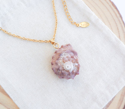 Pinkish Star Shell Gold Necklace on display, Rough Star Shell from Portugal