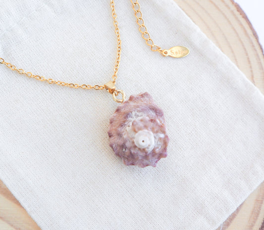 Pinkish Star Shell Gold Necklace on display, Rough Star Shell from Portugal