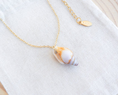 Shell pendant necklace on a gold chain with a visible brand logo on a white background