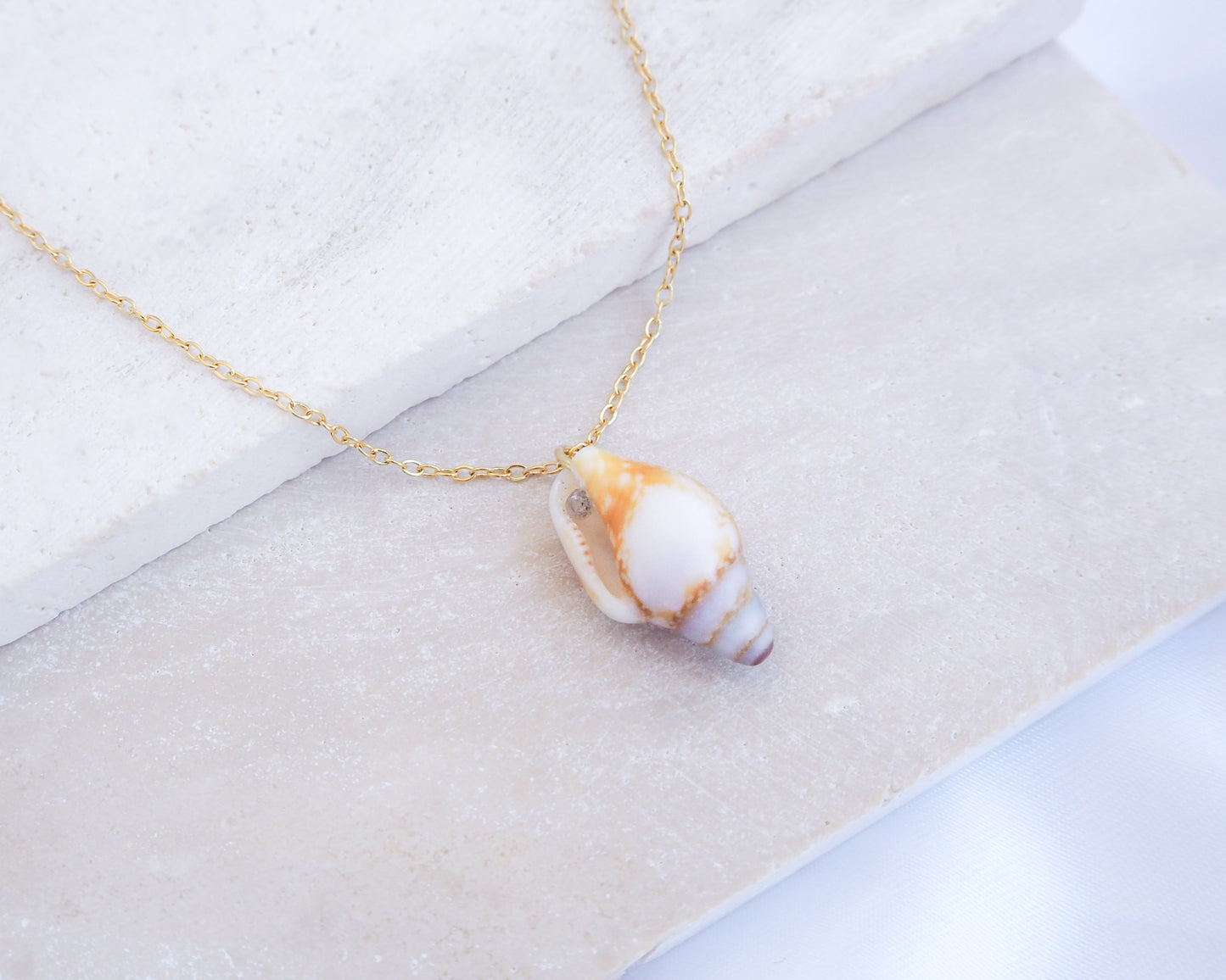 Tiny Light Rustic Dove Shell Gold Necklace displayed on stone back view, Dove Shell Necklace from Portugal, Real Shell Necklace, Sea by Lou